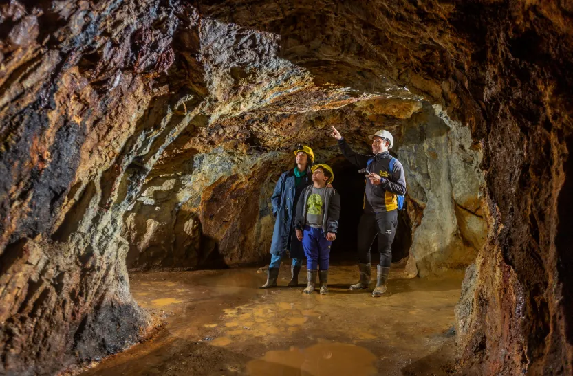 1cad3090-3ac5-4310-8d71-8d6fd0e90cda