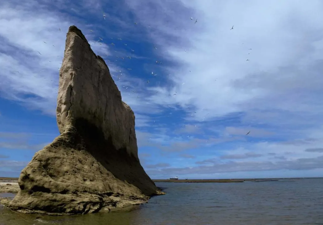 1fd98d61-7dc7-4bab-bf0c-56f3253823aa