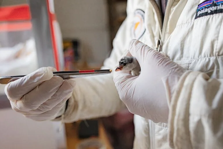 3620c94e595efd27a29897bf8f7a80be