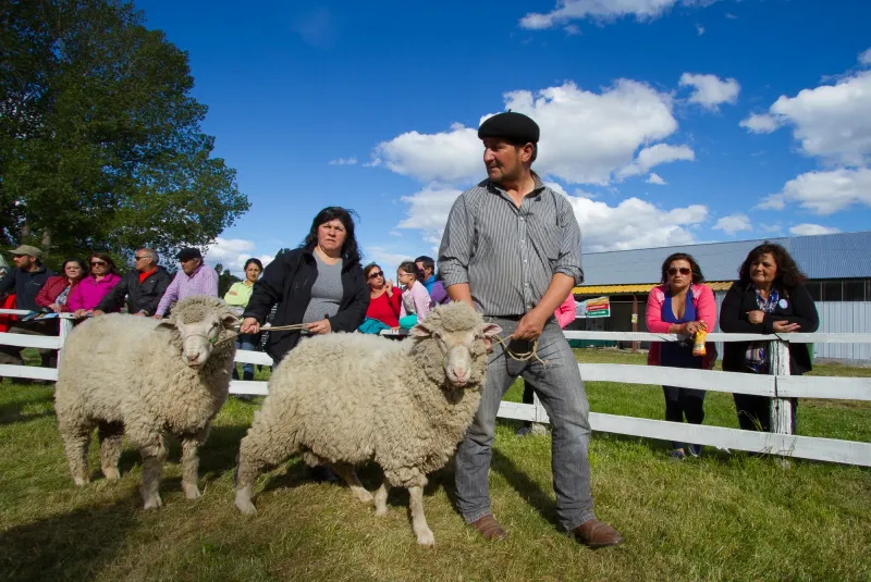 COSTUMBRISTA-COCHRANE-25-1-2