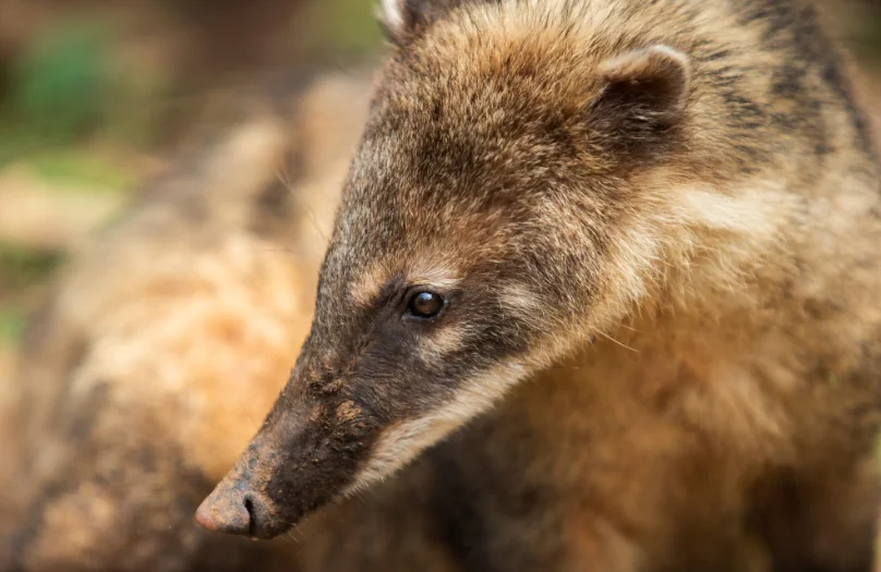 7dedd8a0-bcad-44de-82bc-e18aac4bb9cd