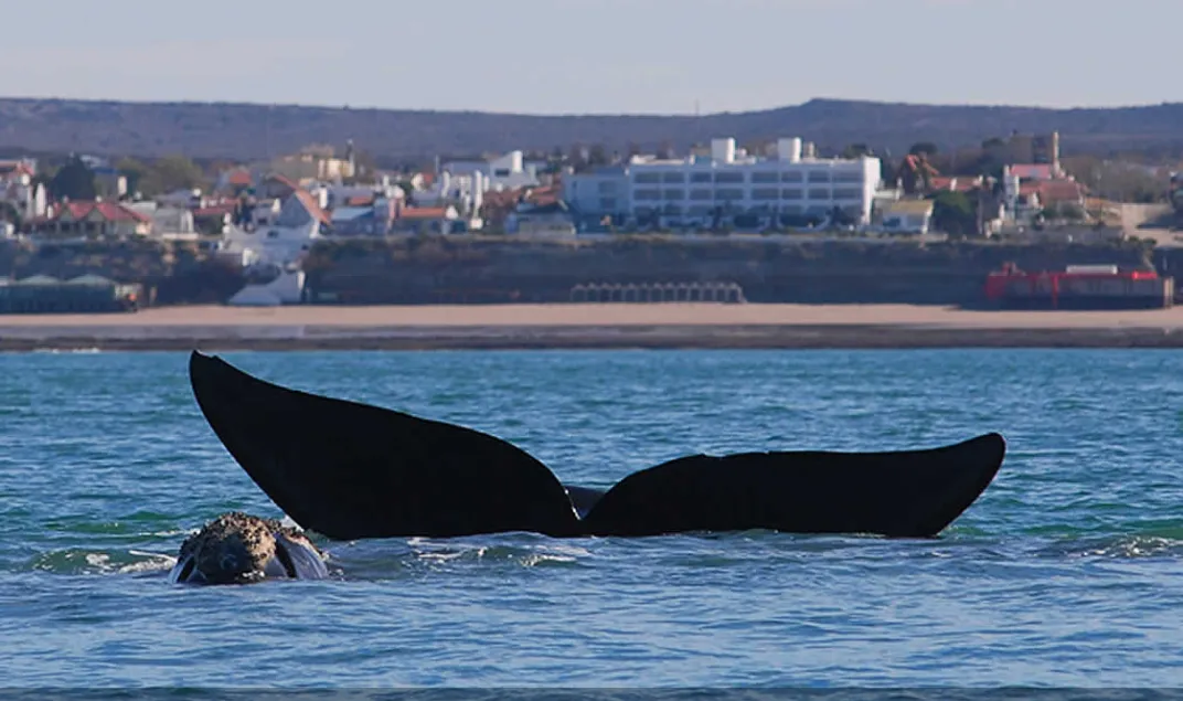 b4ad81d7-2d40-4364-9d88-27ae86b7d181