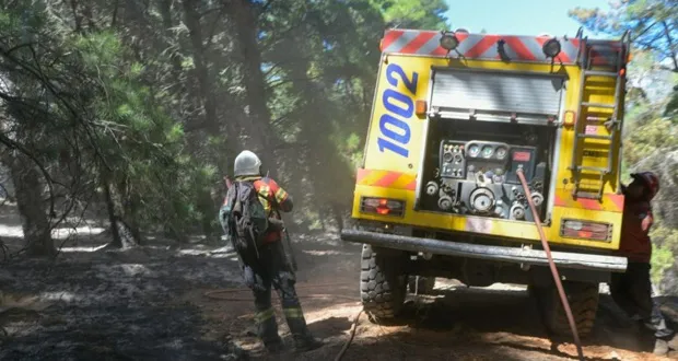 BRIGADA-CHOLILA.ALERCES