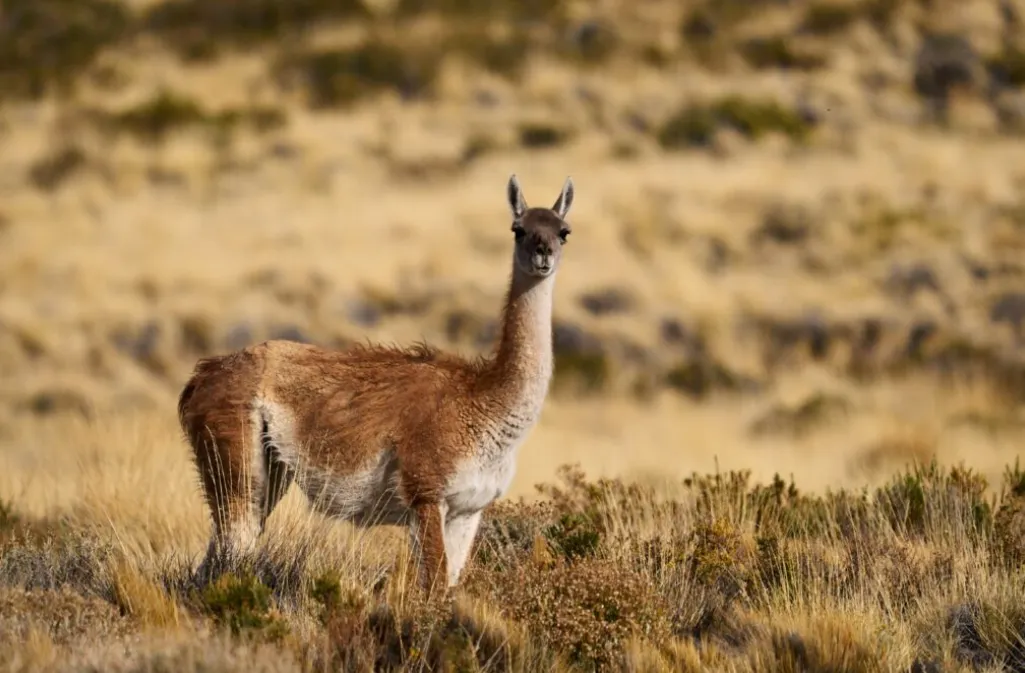 3e35cb1f-a038-482b-bbdb-987318bcbd80