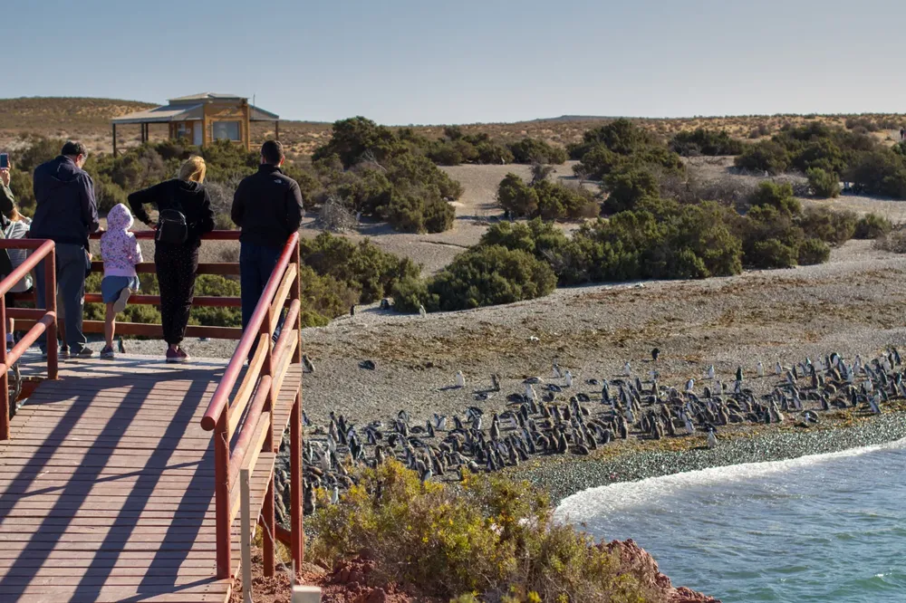 6825c112-867e-4b0d-a264-1bbfa60706ba