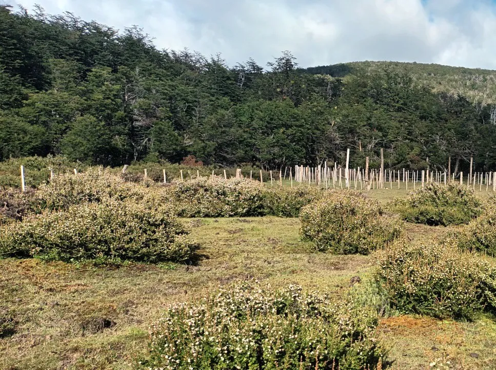 monitoreo-limite-sureste-reserva-el-engano-1