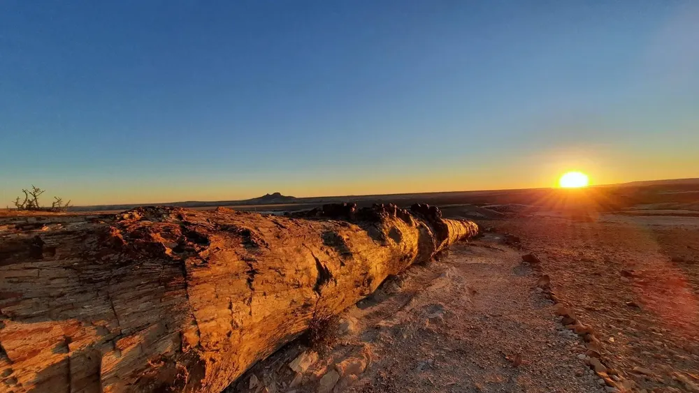 actividades_-_pn_bosques_petrificados-13