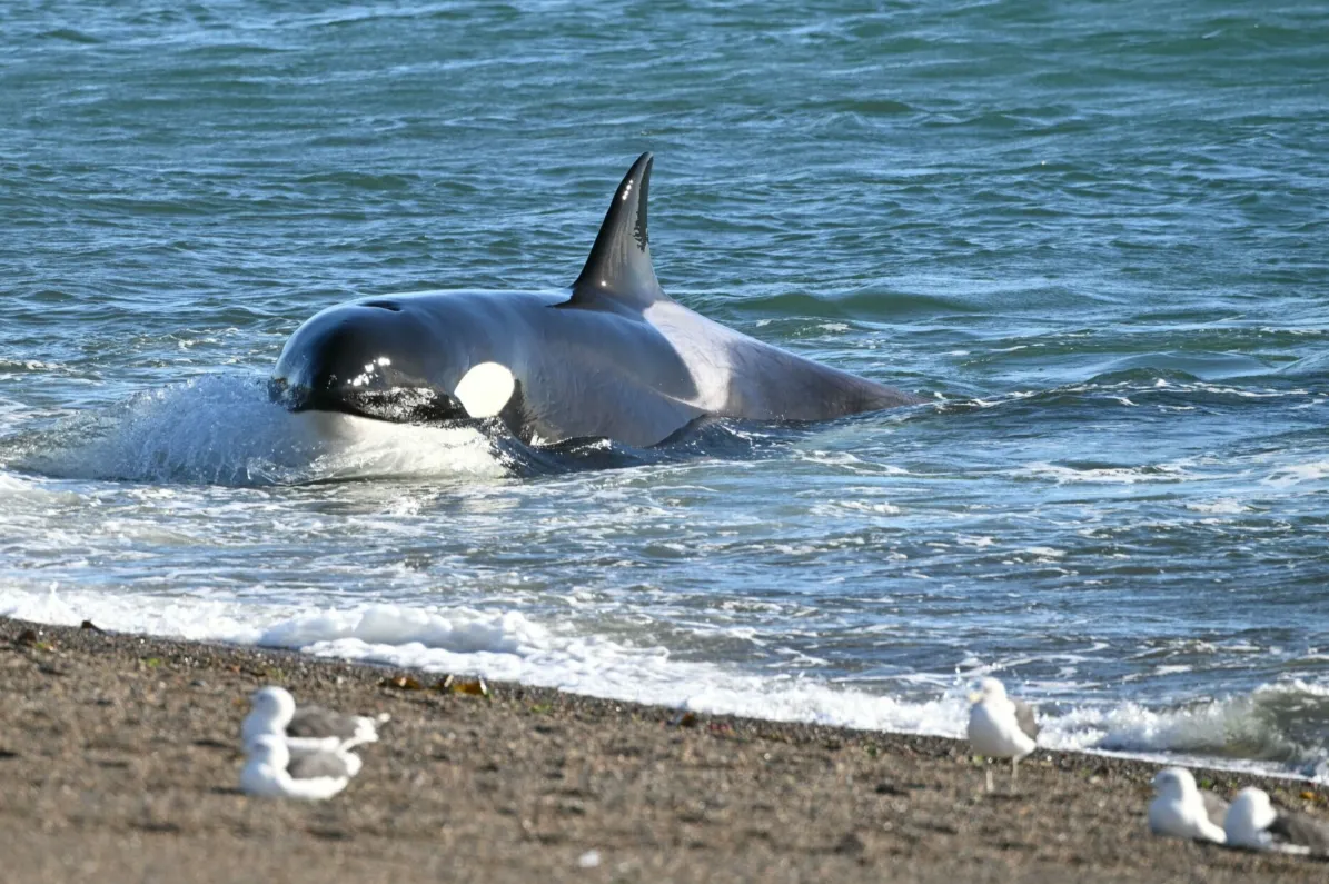 9d0f69d7-a772-4127-adcf-2c5ee473919e