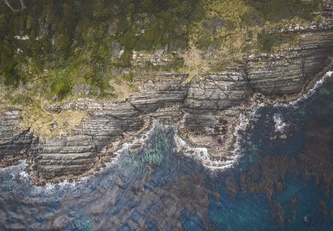 d8178a1e-8b44-4909-85cb-a404c8147088