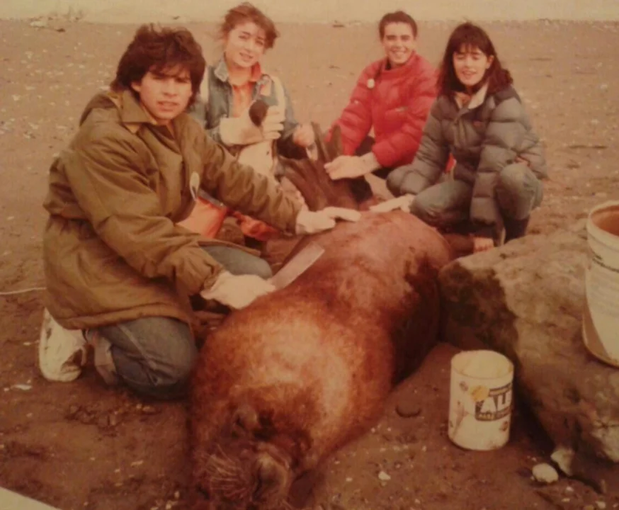 720 - 2025-11-19T191126.335