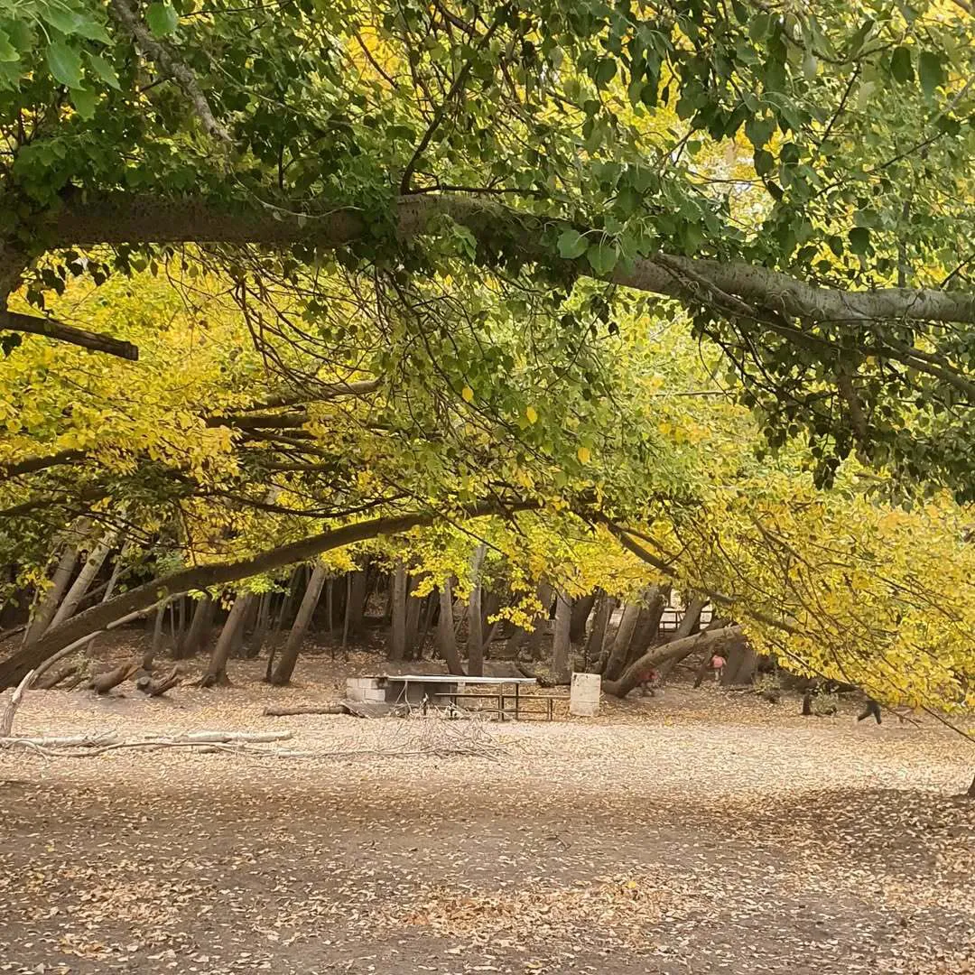 341176069_1492949951238944_7984364089342590625_n