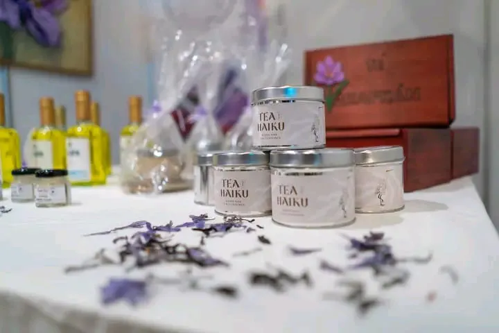 f2c4bc9e-65d2-4087-b2e4-f200acaac7fa