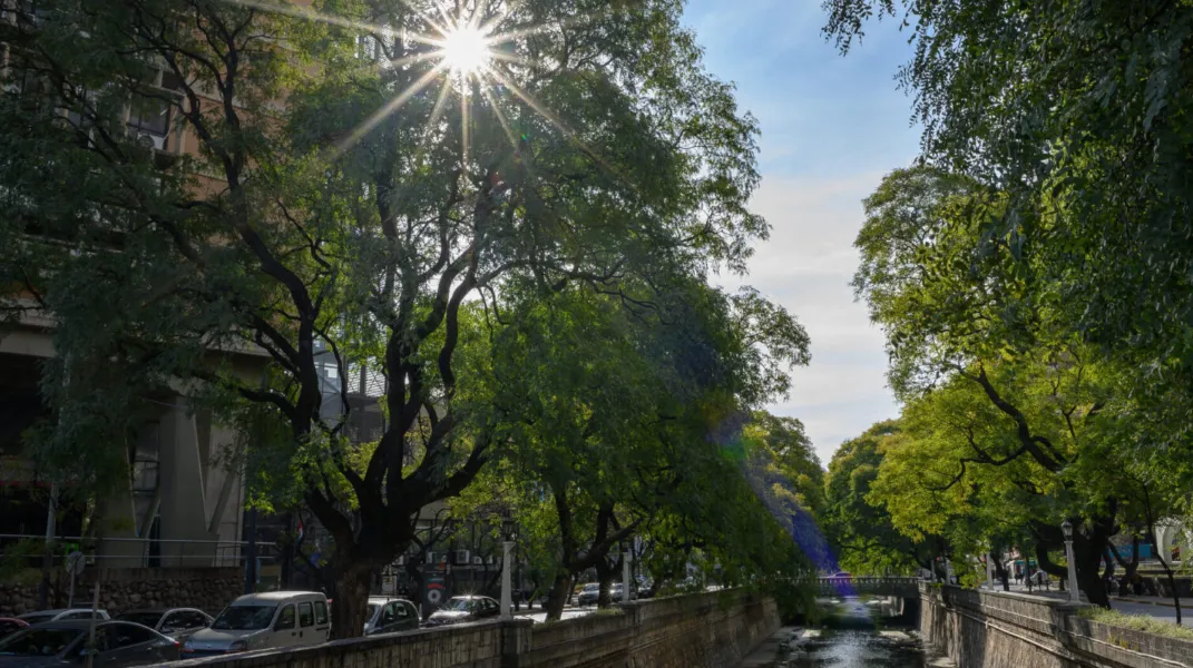 7f091323-8f84-46c1-be03-c0799823947e