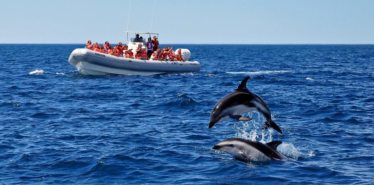 kmxdlHriM_1256x620__1