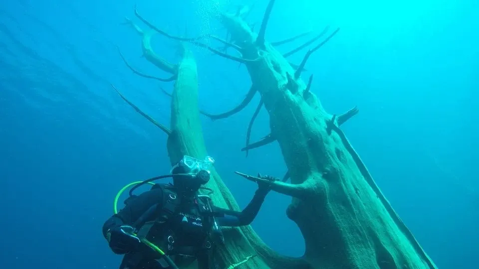 copy_old_1755576573726_a64fdd71_dce4_4880_be63_e16ff0282e63_b58de30a7f