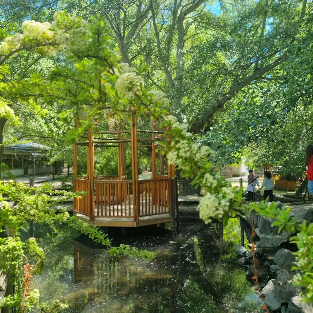 467283726_936328951189501_4119103153373645205_n