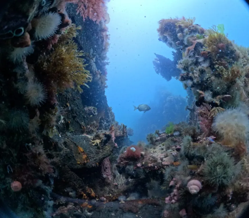 0e917ec9-5c5e-4017-a4d3-ffefa260a3ce