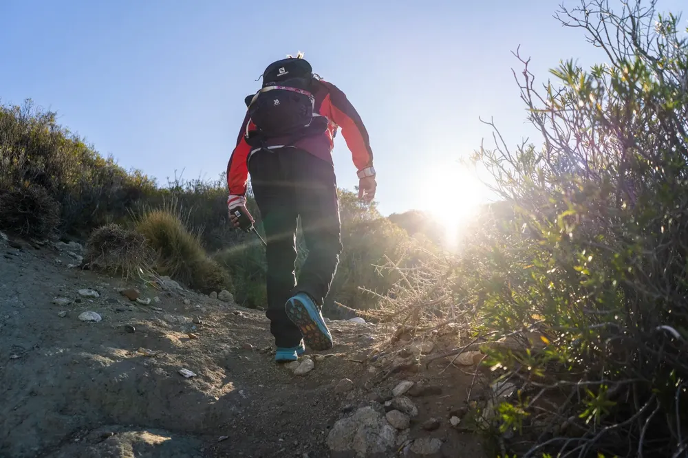 WhatsApp Image 2024-12-10 at 10.49.26 AM