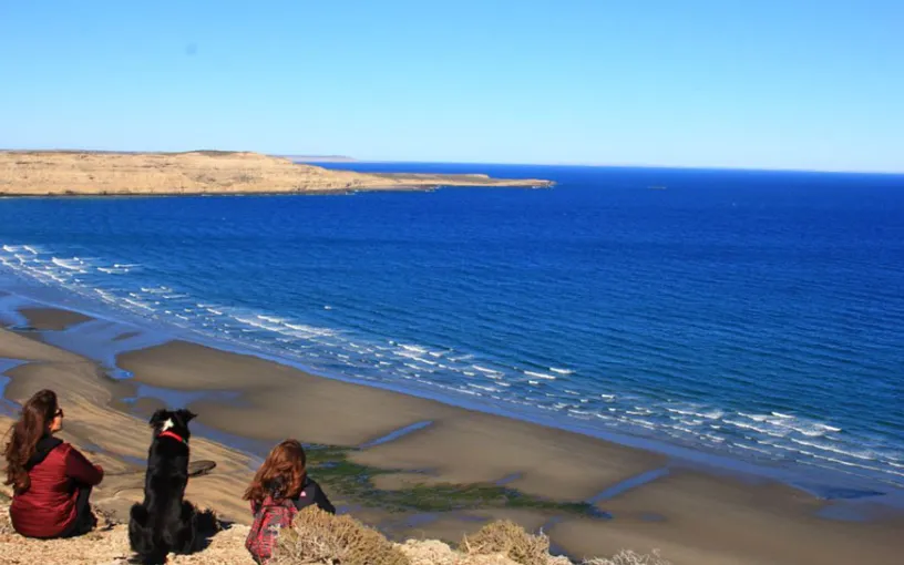 e6137e05-7341-44d8-a2a9-89baa3653a86