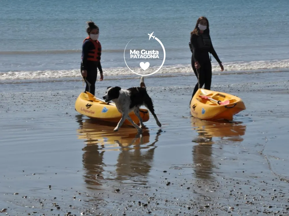 Diseño sin título (16)