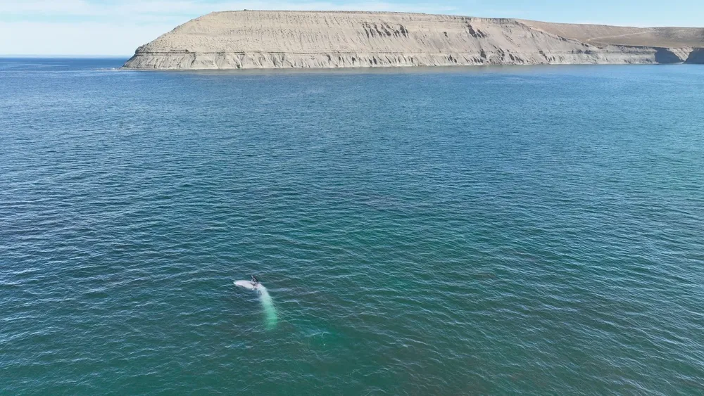 WhatsApp Image 2026-02-27 at 1.59.52 PM