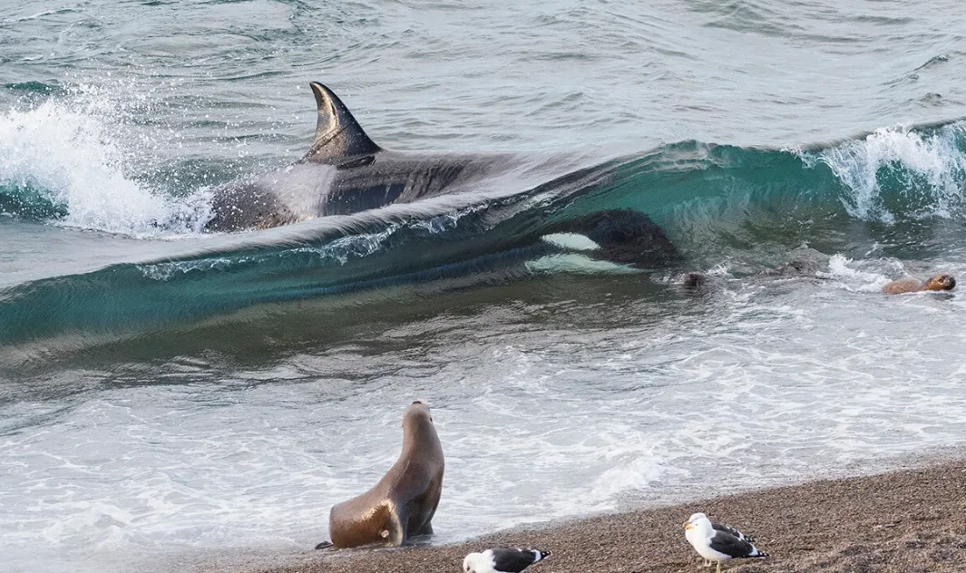 fe84e295-ad66-478b-a872-18745e0820c5