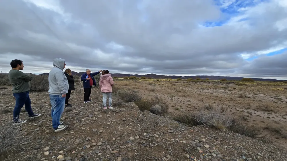 c156e318-c703-4145-91e4-43e158607b6c