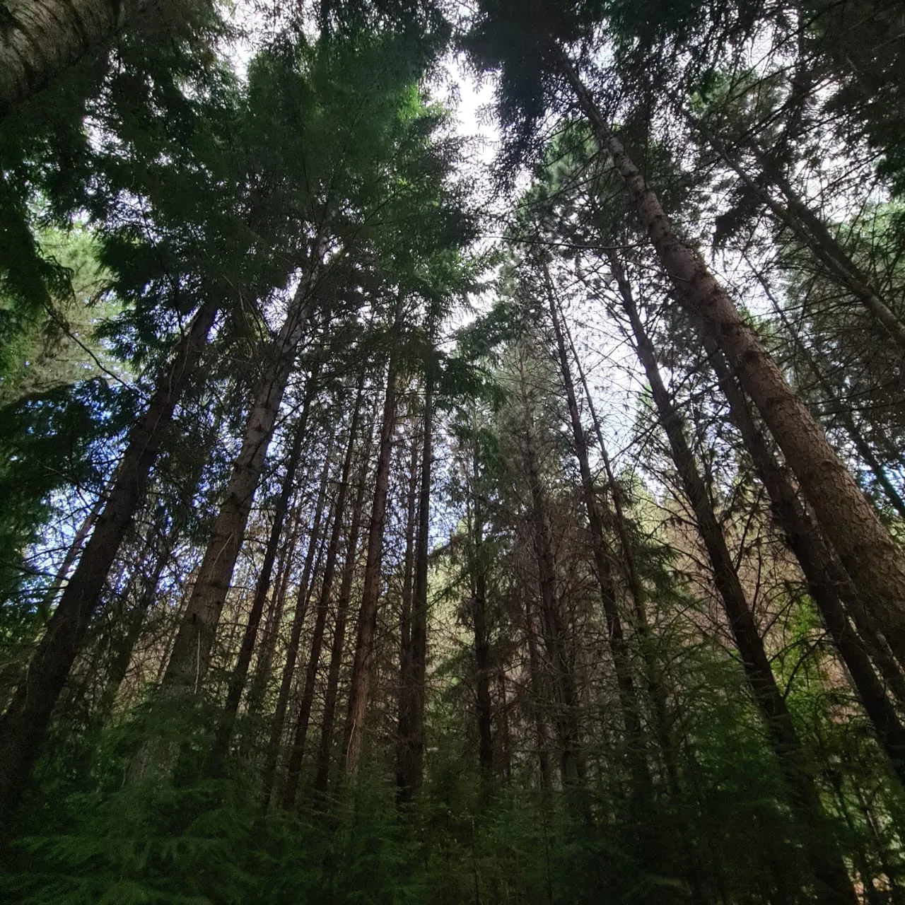 WhatsApp Image 2025-02-11 at 3.44.00 AM