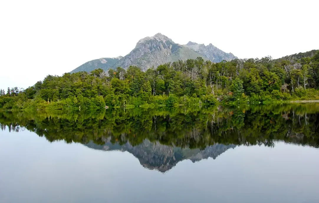 0932a824-6bc3-4b96-bf8c-90e8497debe0