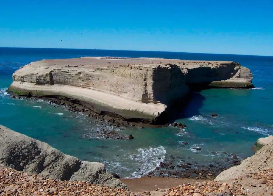 ee261817-2be0-408a-8b04-406120bfb76f