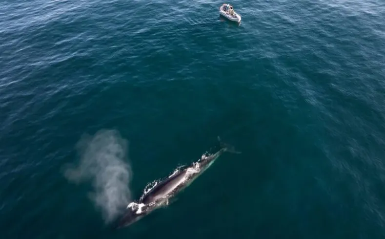 cc33e468-28d9-4c27-9c15-771239105cbc