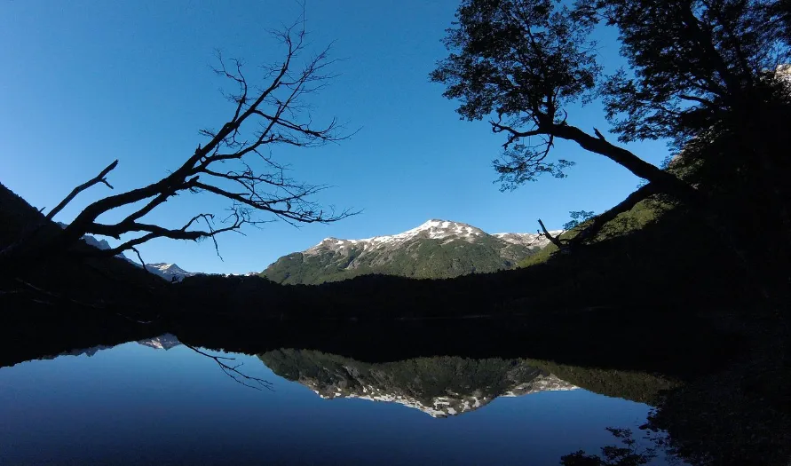 e1e0d646-2822-486b-b462-e1ea96ae2e0f