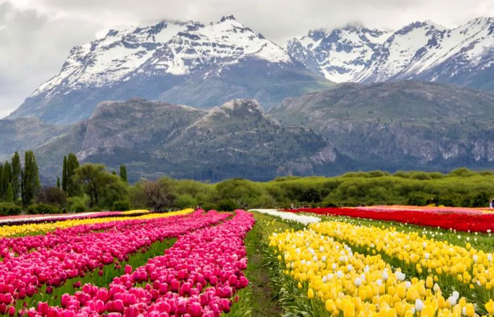 21112cac-52ed-4c82-a4df-e27ff6f47adf