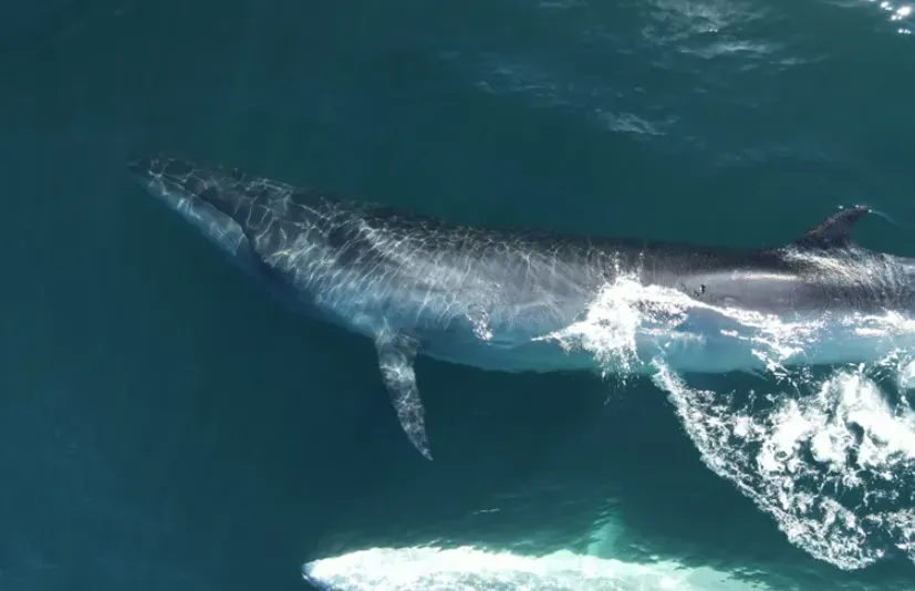 de092808-b555-4e4b-9678-f10c37b7f251