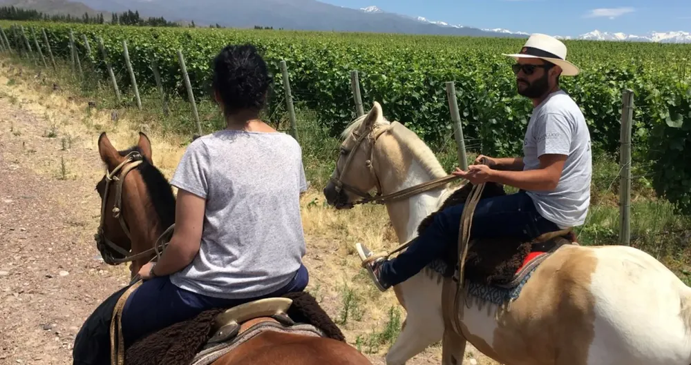 8c960015-cef5-41fa-a3a1-94e5bfc60cdf