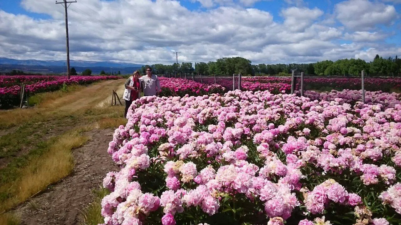 516119416_24339131912345263_2813886937372114881_n