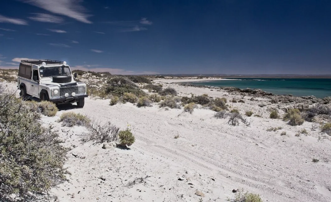 ba691e31-cd0e-424c-99b8-42abc0436cb2