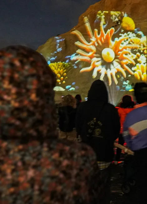 8769e193-9412-4a1c-a303-312a32a5d830