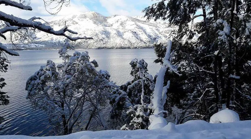 233c48bc-cf63-4499-ac74-7a6f1348b15f