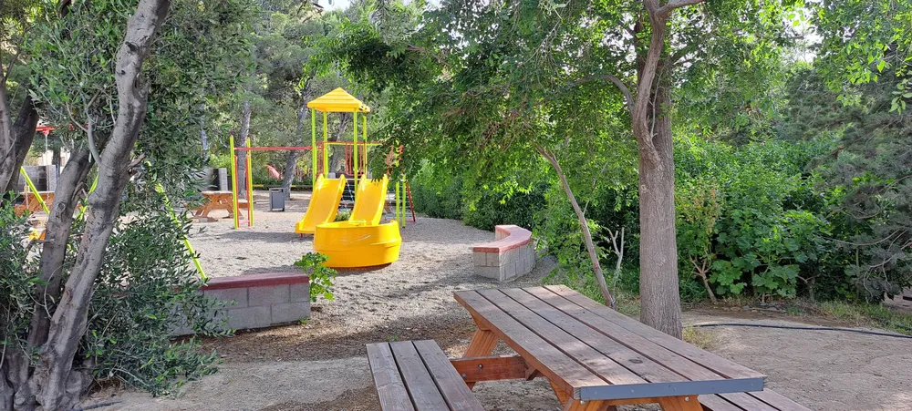 518198221_10229667352008144_340449438614435072_n