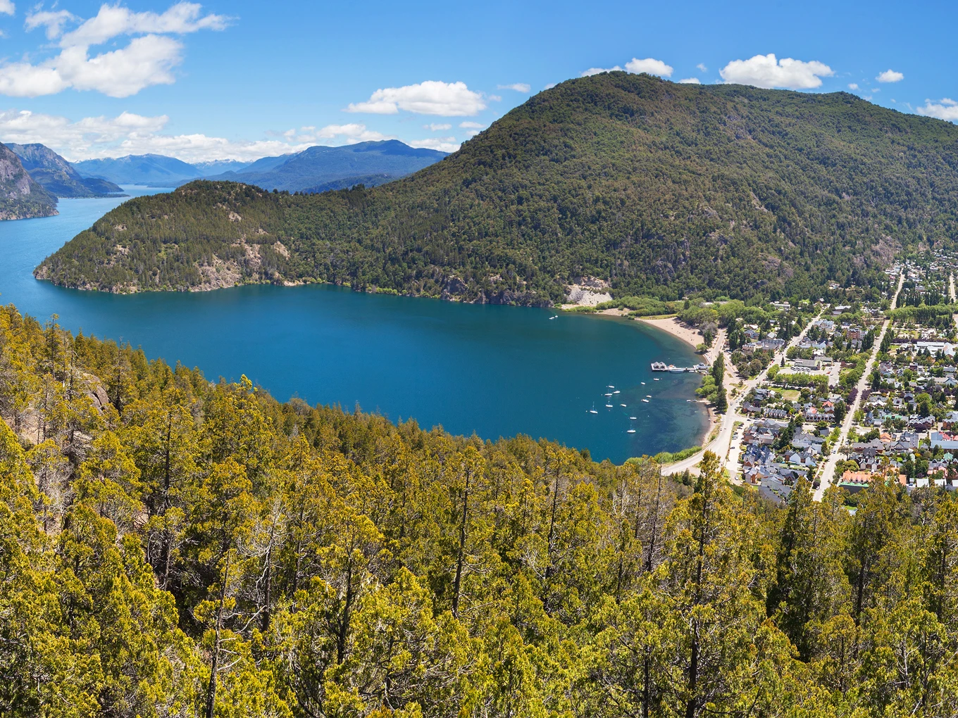 3147dec8-37b1-4a20-af04-8d818090c0be