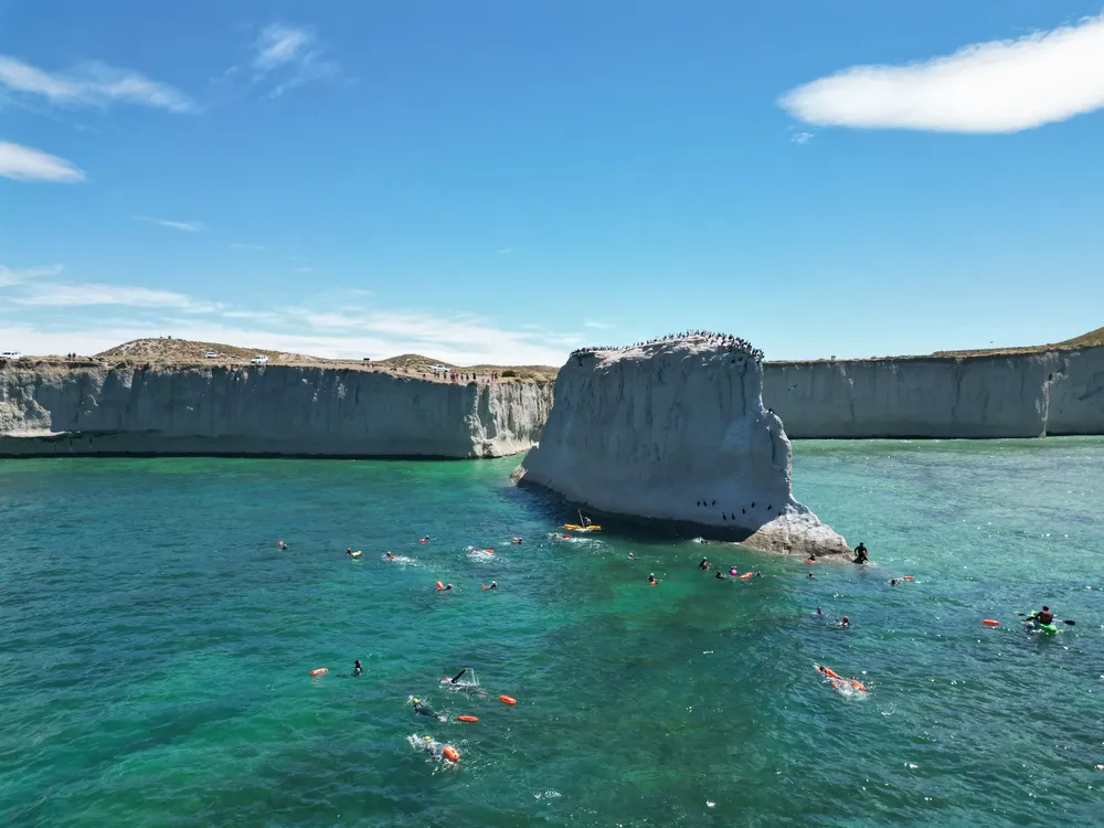 WhatsApp Image 2025-01-28 at 11.34.21 AM