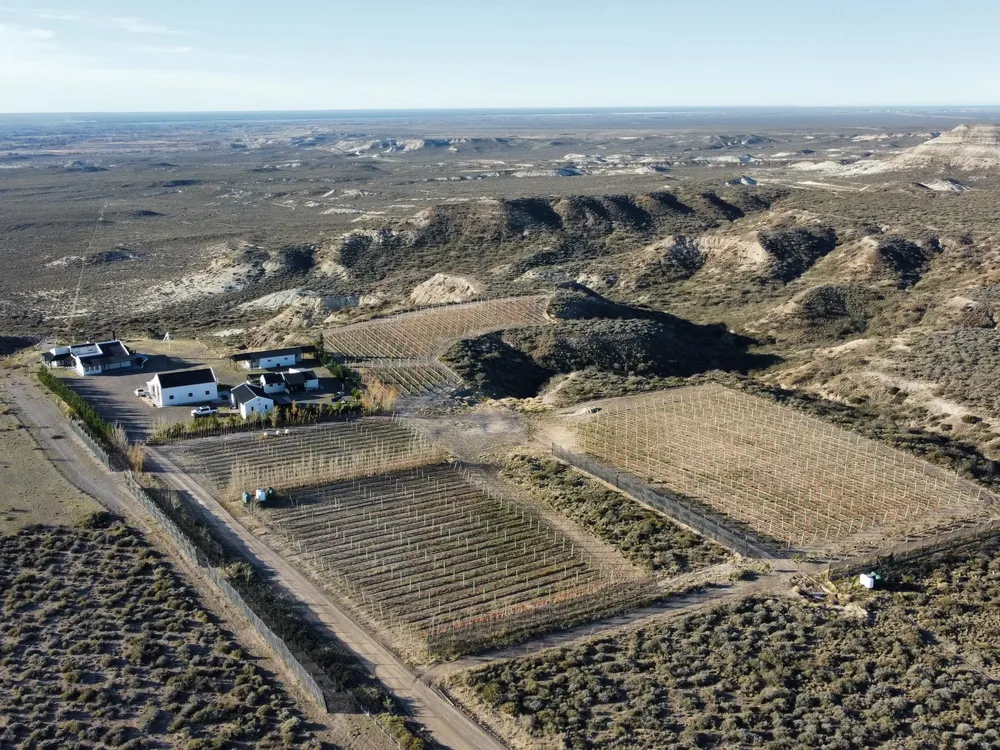 WhatsApp Image 2025-02-06 at 11.21.56 (1)