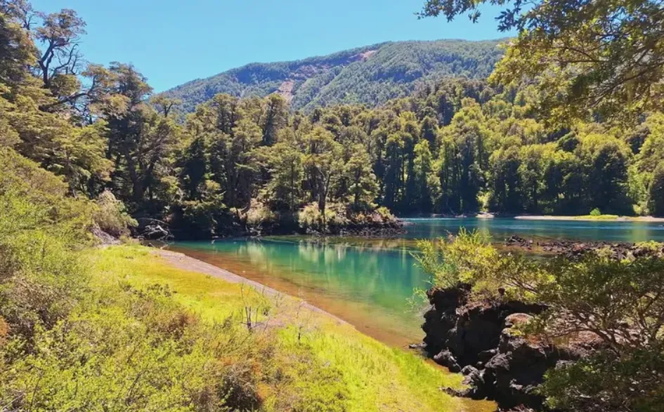 0a8a8bf1-fdf6-41eb-bb35-ed0005ad5337