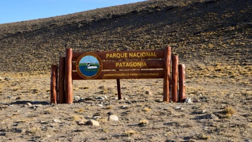 4b97ffea-6909-4a14-8212-5a91d80e67ec