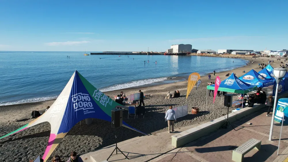 WhatsApp Image 2025-10-29 at 8.00.48 PM