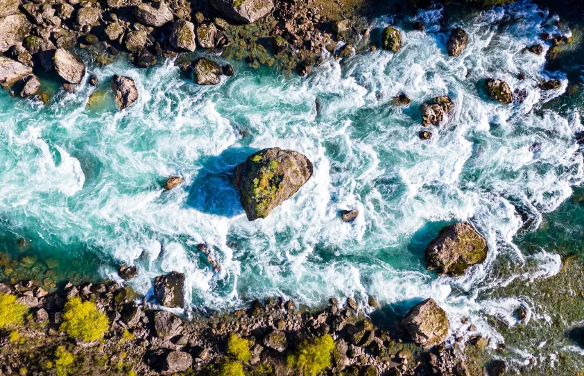 e124e65d-7a3c-4c4b-a781-d87d15a10315