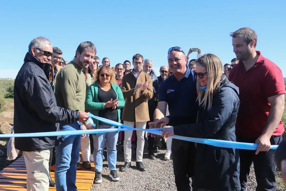 WhatsApp Image 2024-09-16 at 15.35.44