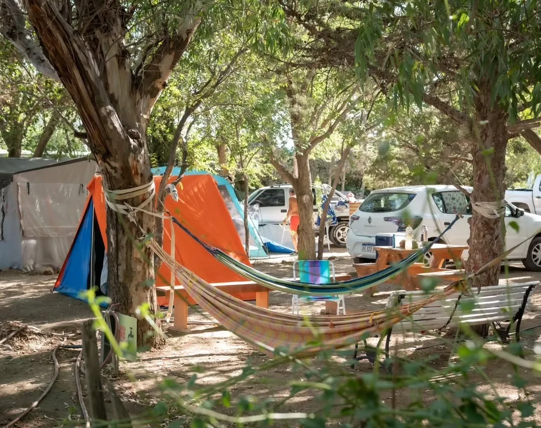 429727932_916304776944664_2624077848351672239_n