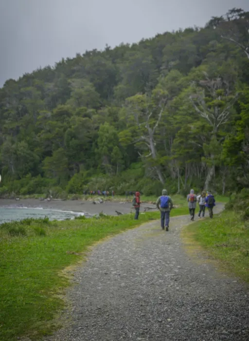 23549fcc-a4ed-4353-934c-84472485f9a3